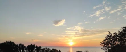 корпус Лісовий Харчування