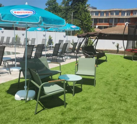 корпус лісовий територія