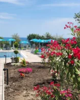 корпус Лазурний територія