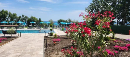 корпус Лісовий Харчування