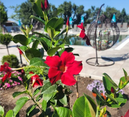 корпус Лазурний територія